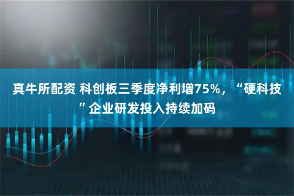 真牛所配资 科创板三季度净利增75%，“硬科技”企业研发投入持续加码