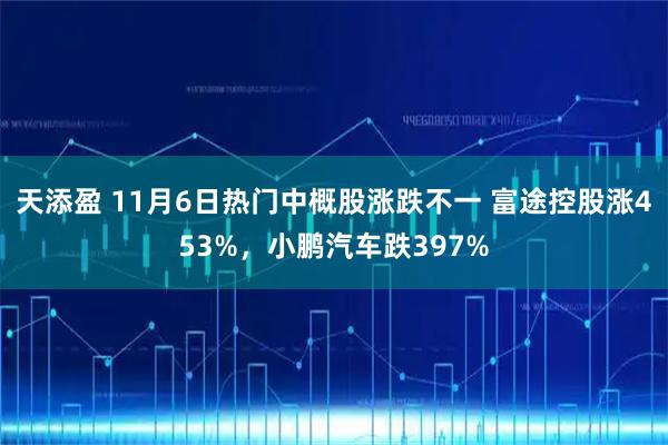 天添盈 11月6日热门中概股涨跌不一 富途控股涨453%，小鹏汽车跌397%